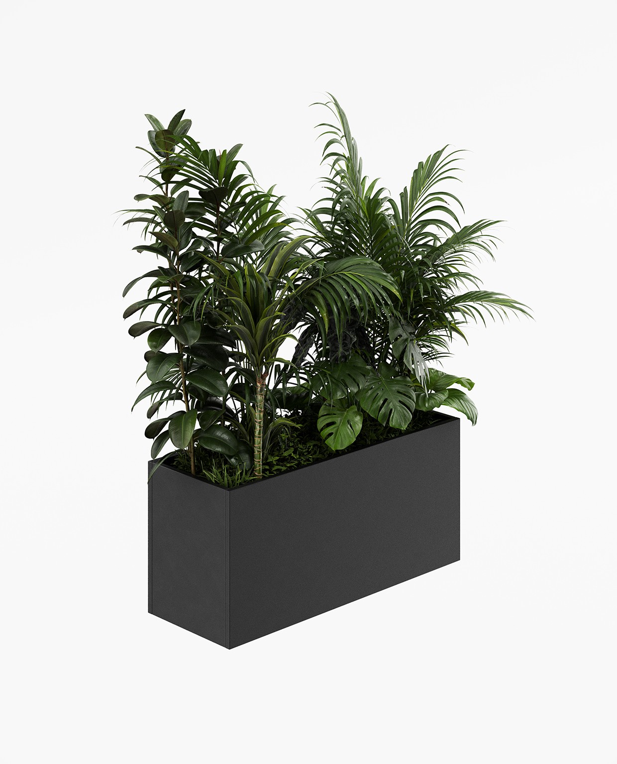 PAL System Collection