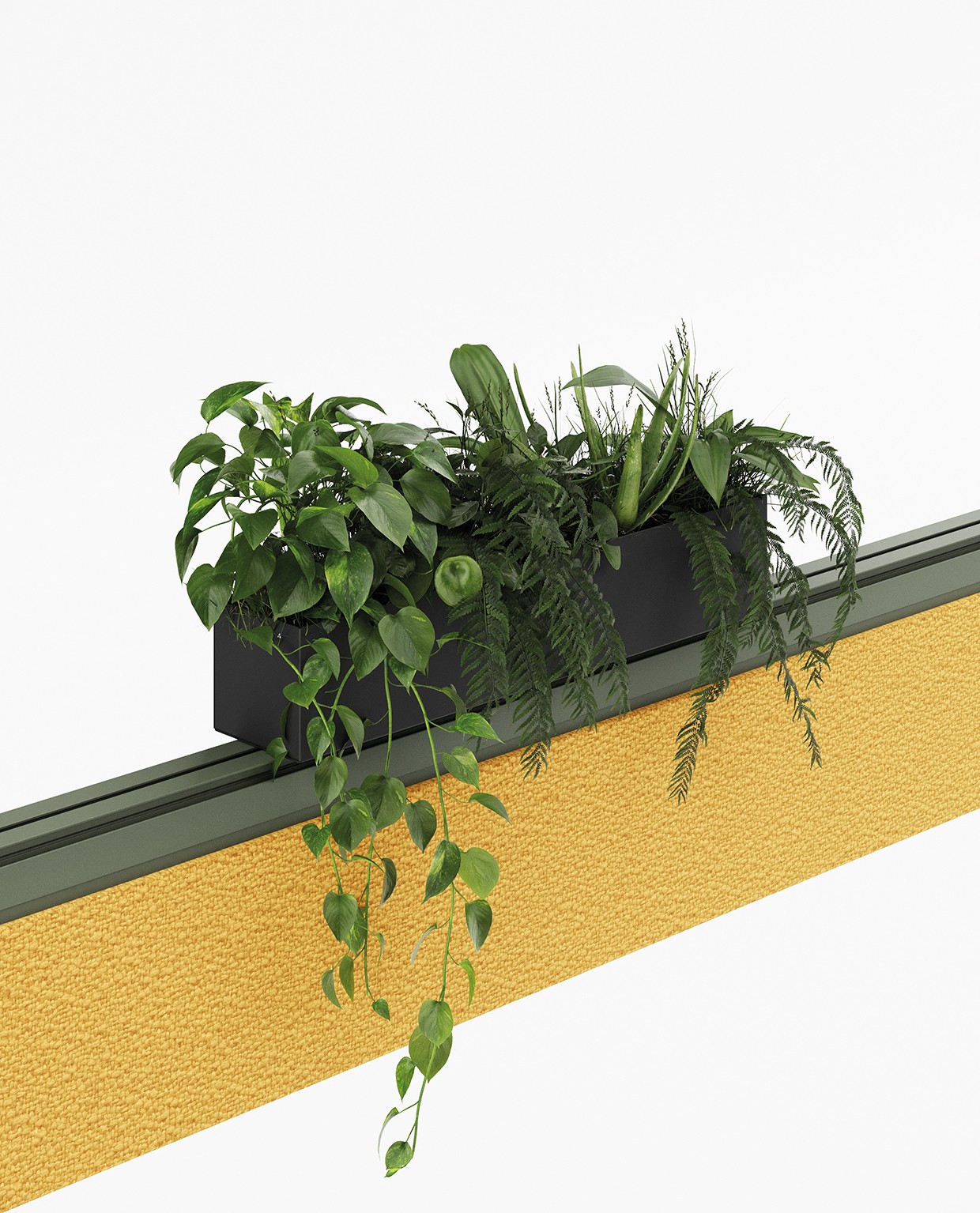 PAL System Collection