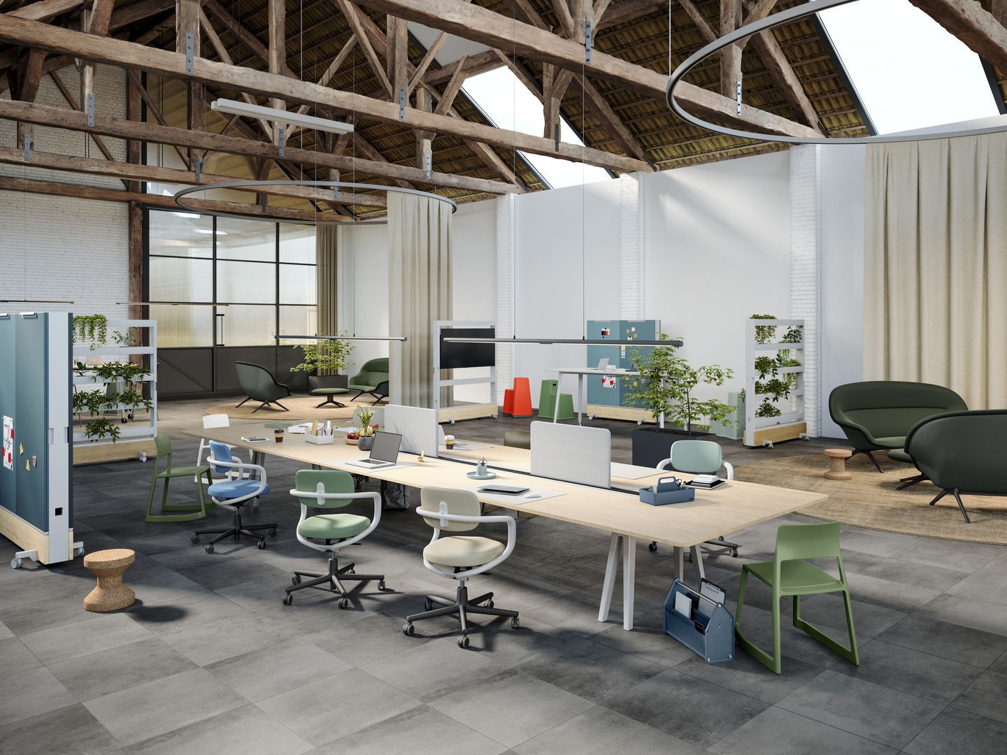 Rookie / Rookie High