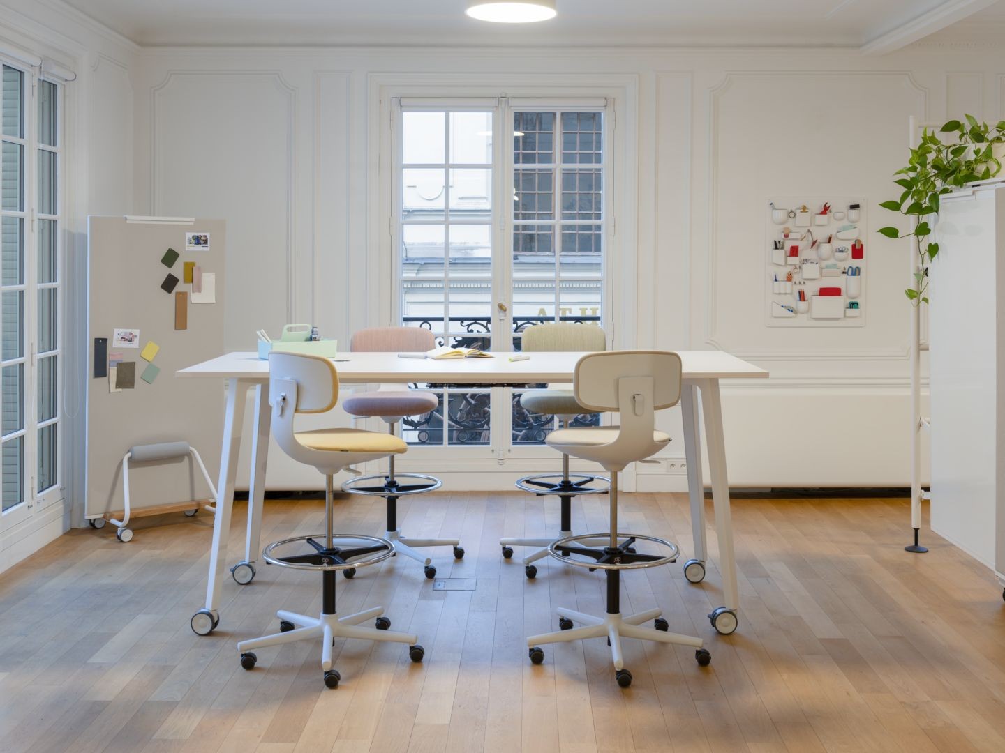 Rookie / Rookie High