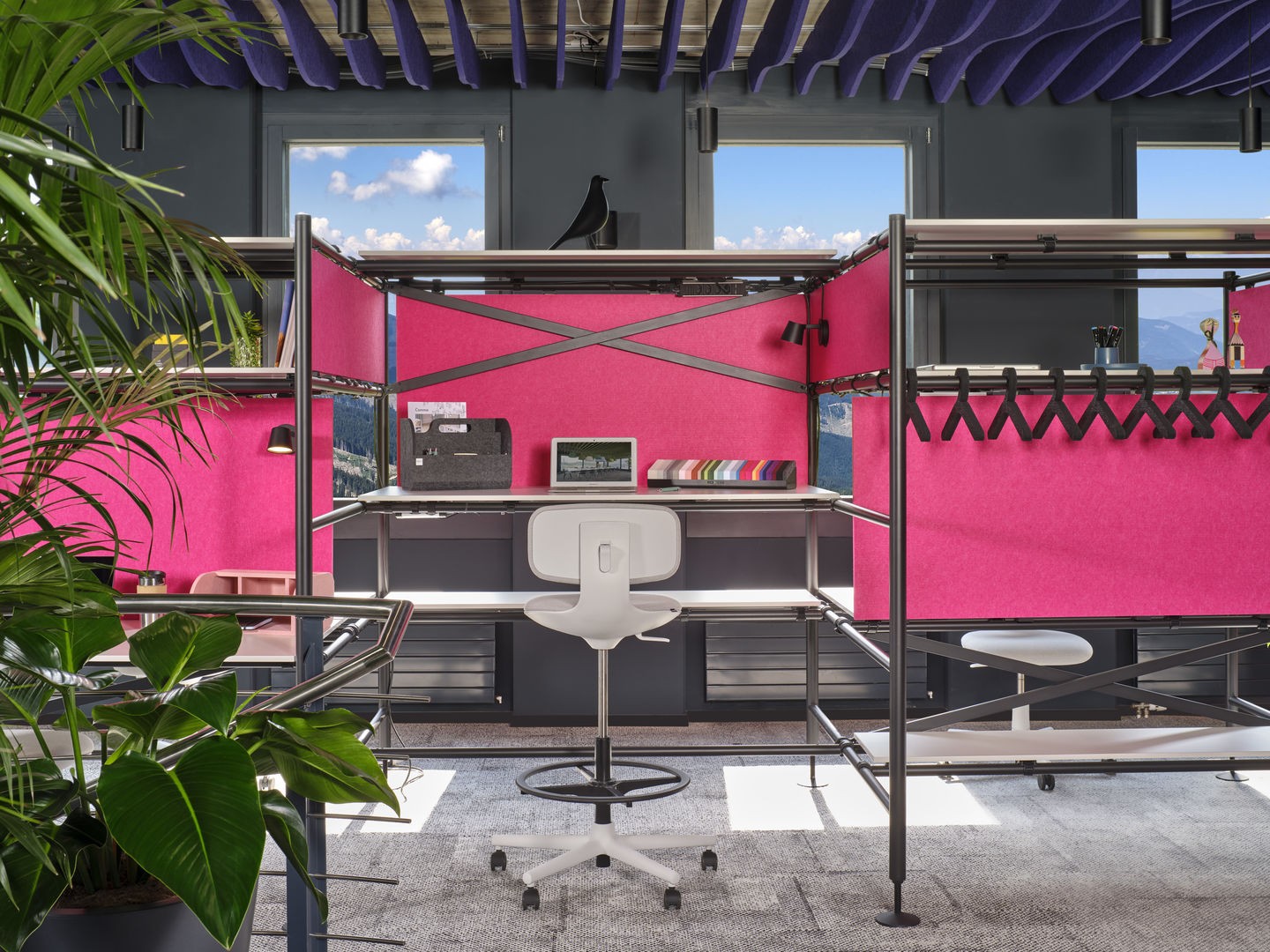 Rookie / Rookie High