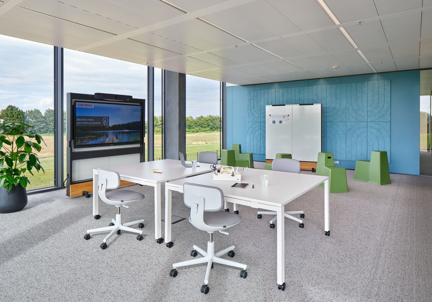 Rookie / Rookie High