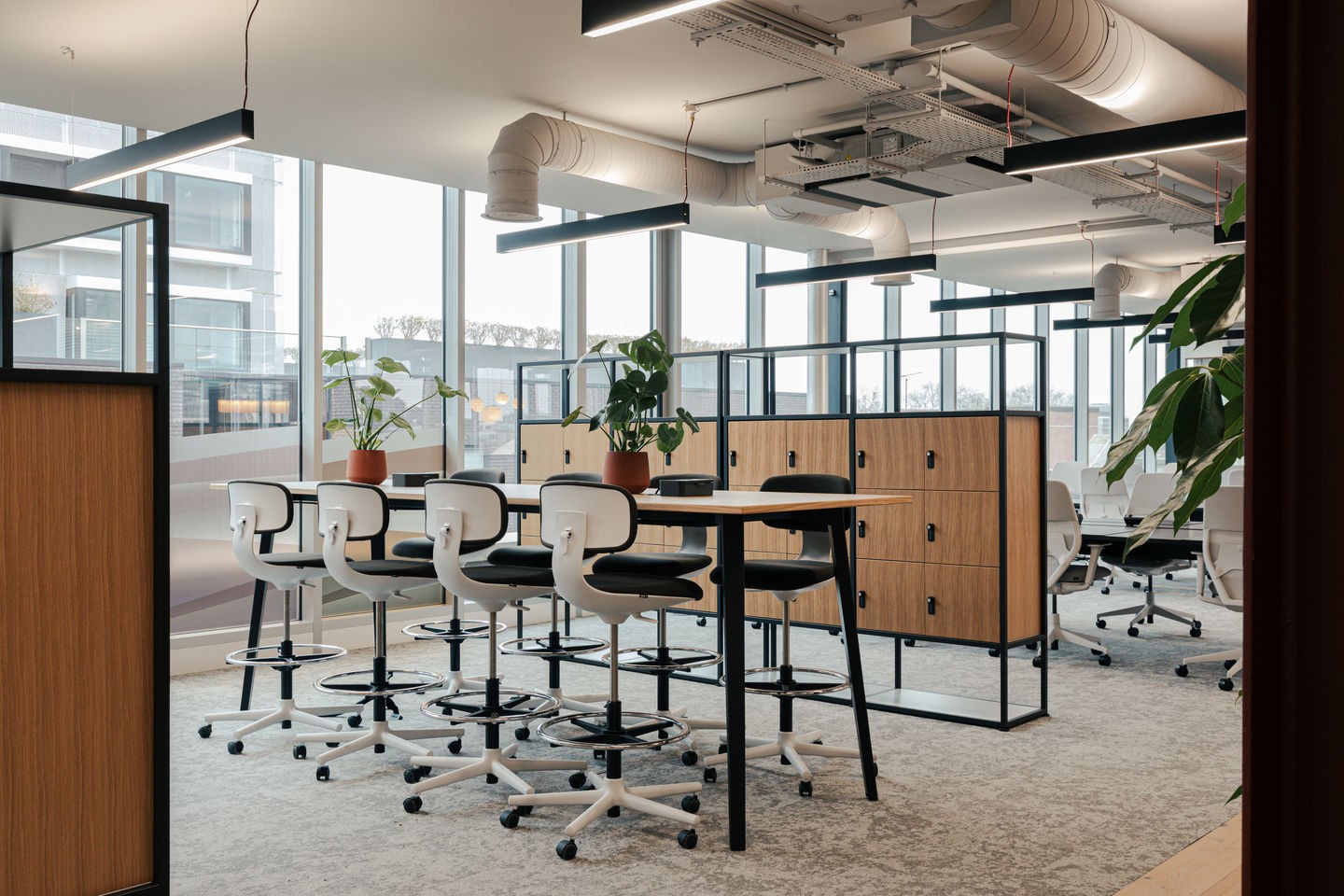 Rookie / Rookie High